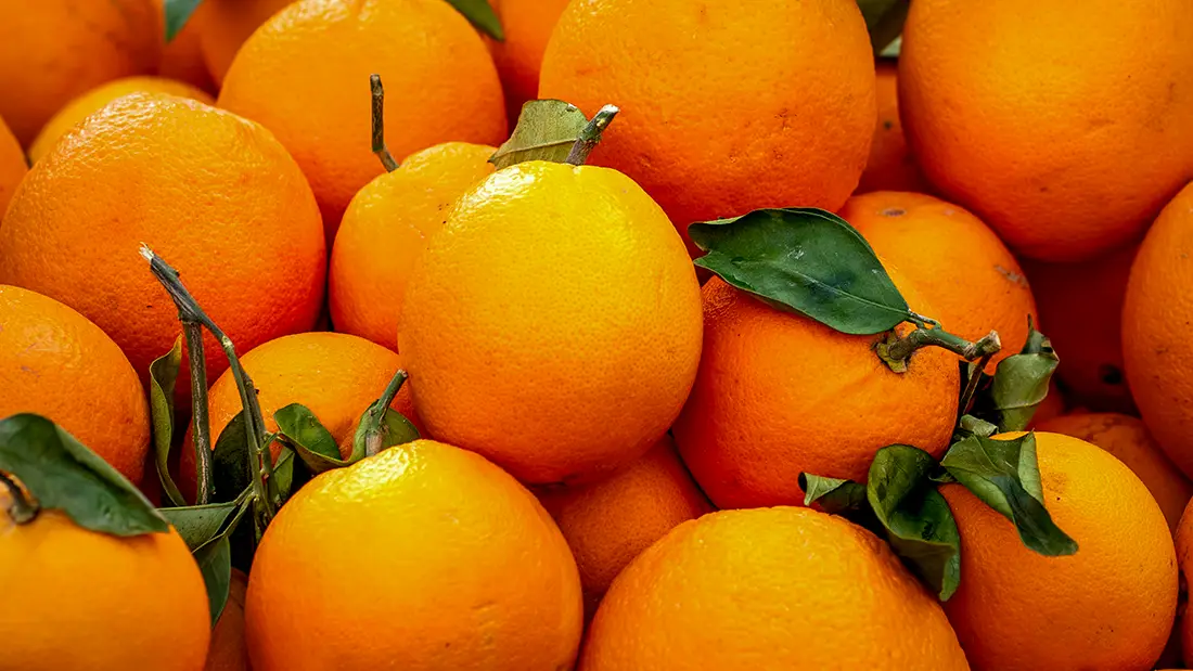 FLORIDA ORANGES